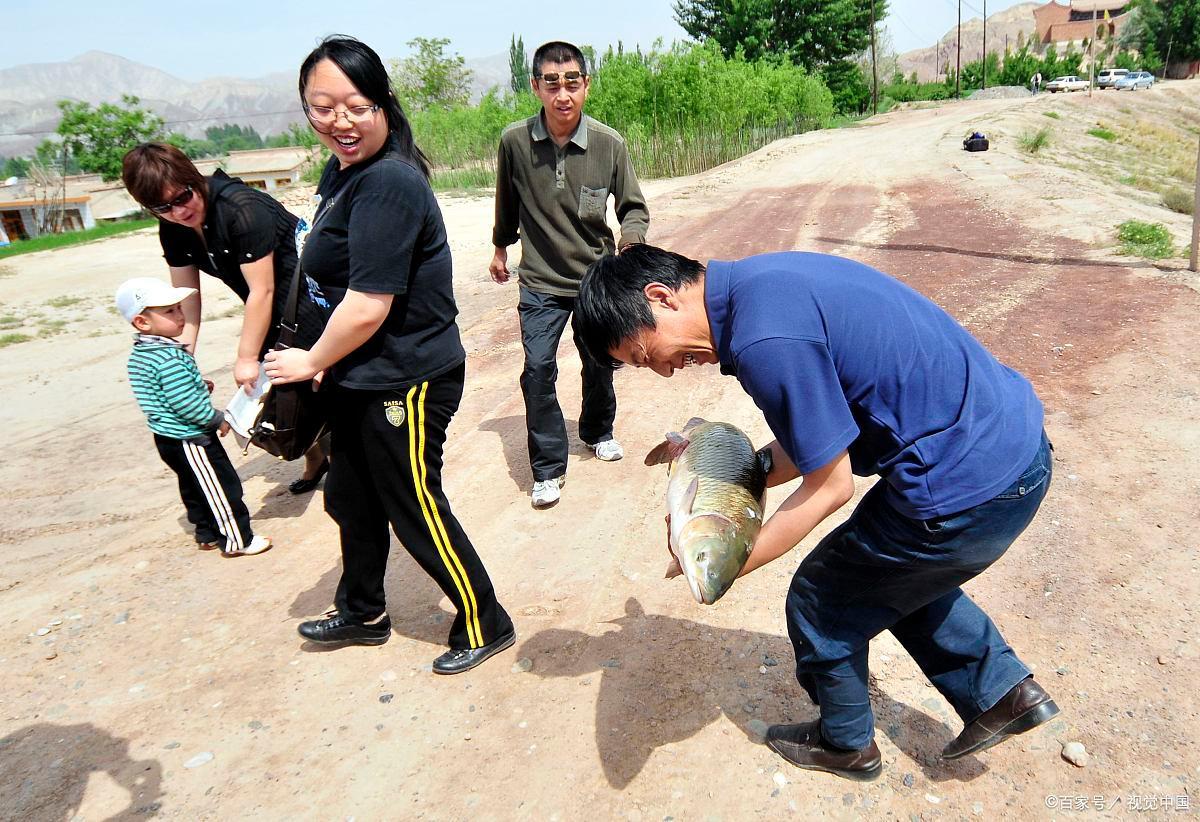 鱼塘里的草鱼为什么总是不上钩？